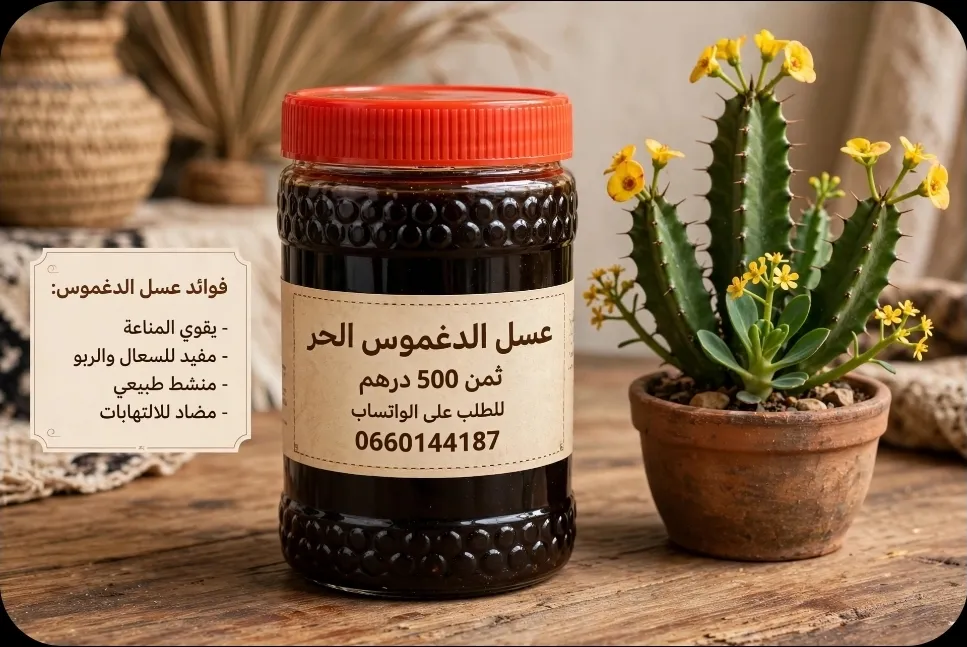 عسل الدغموس الأسود الحر  - بني ملال
