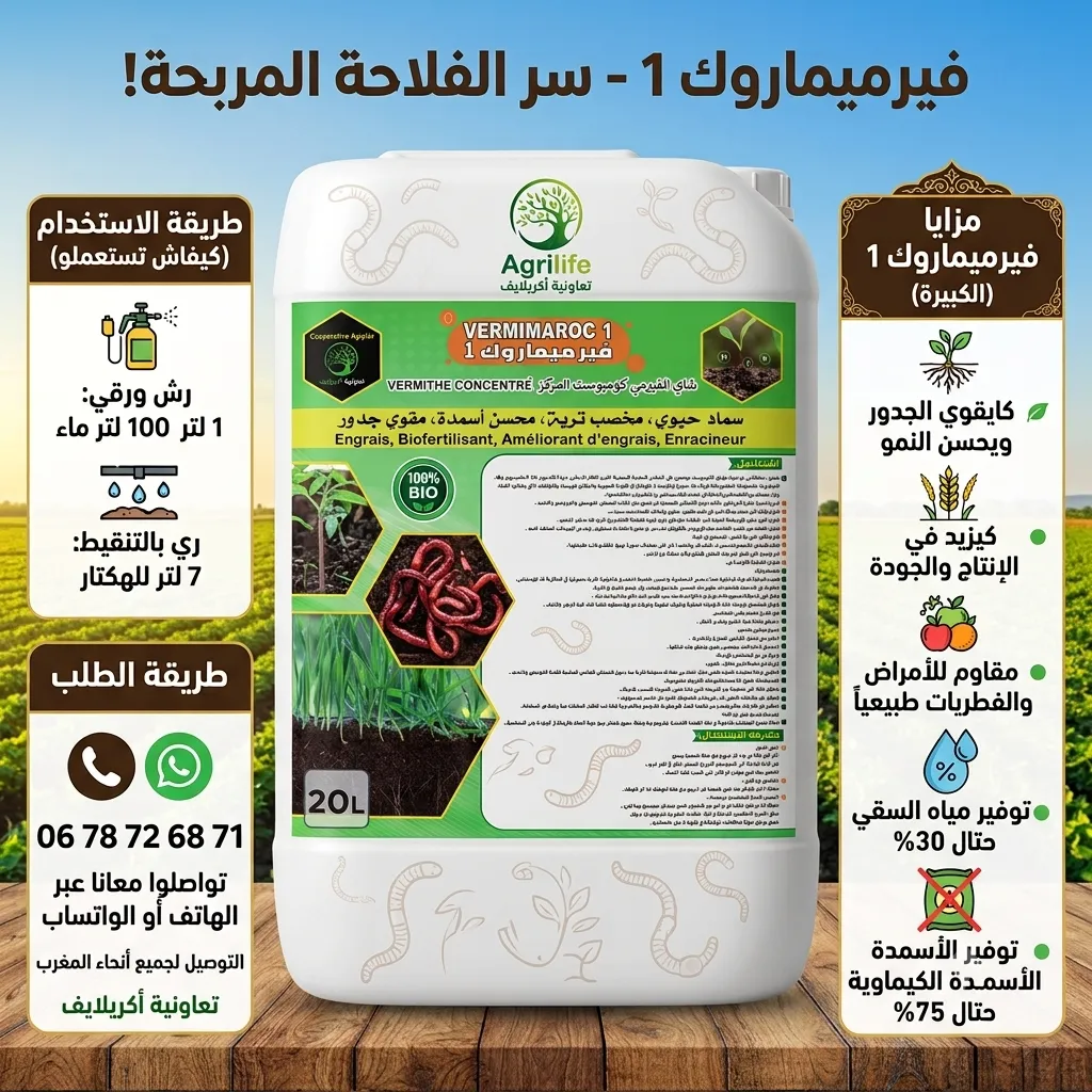 Vermimaroc1  - بني ملال