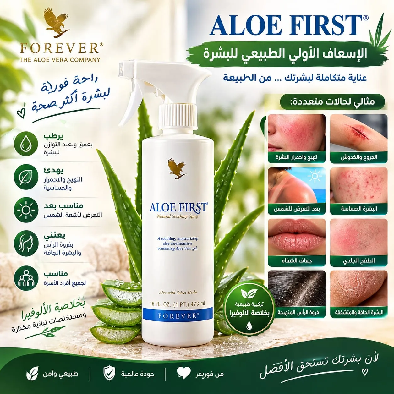 Aloe first - بني ملال (2)