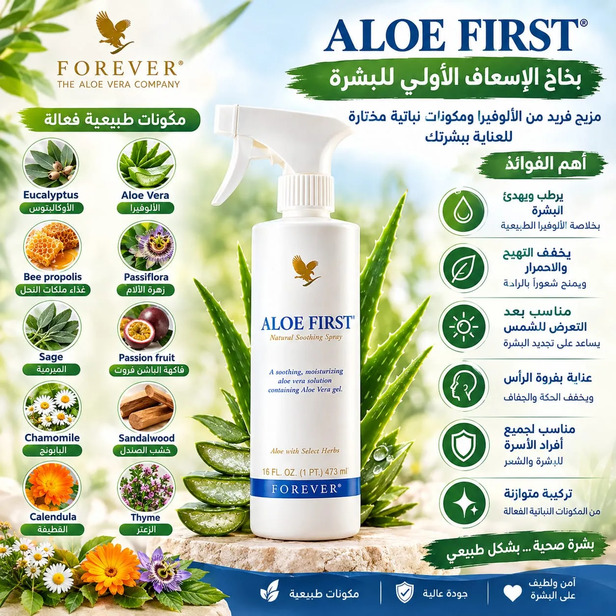 Aloe first - بني ملال