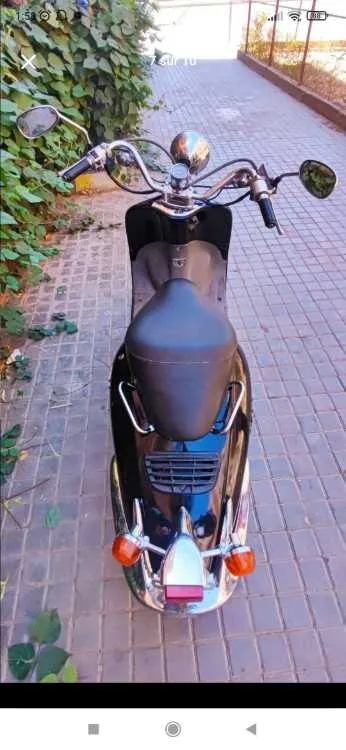 Honda chadaw 49cc - مراكش (3)