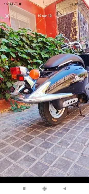 Honda chadaw 49cc - مراكش (2)