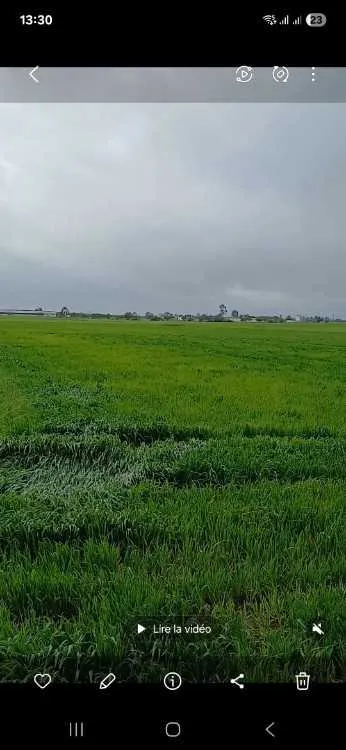 Terrain agricole - الدار البيضاء (3)