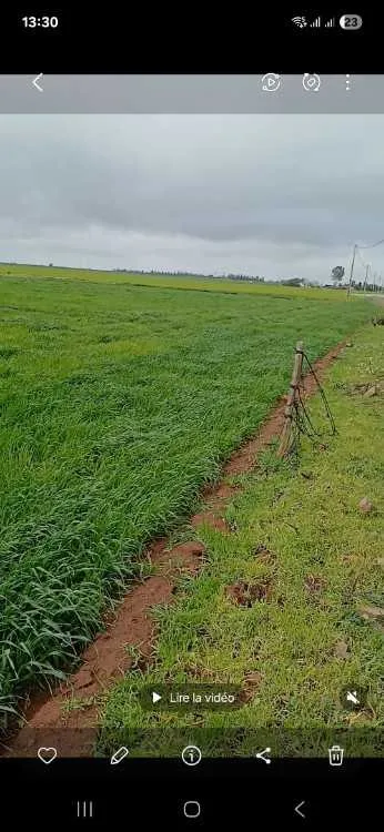 Terrain agricole - الدار البيضاء (2)