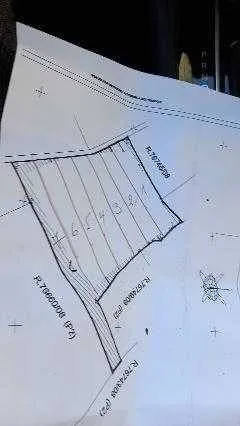 Terre agricole titrée de 23 ha à sidi smail - سيدي بنور