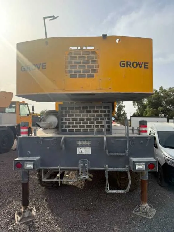 Grue tout-terrain 30t à vendre - الدار البيضاء (3)