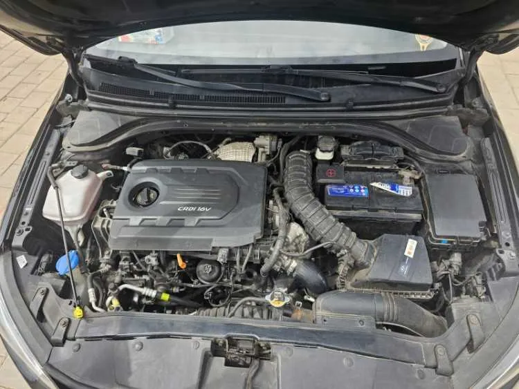 Hyundai elantra 2018 automatique faible consommati - الدار البيضاء (3)