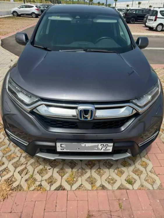 Honda cr-v hybrid 2024 - الدار البيضاء (3)