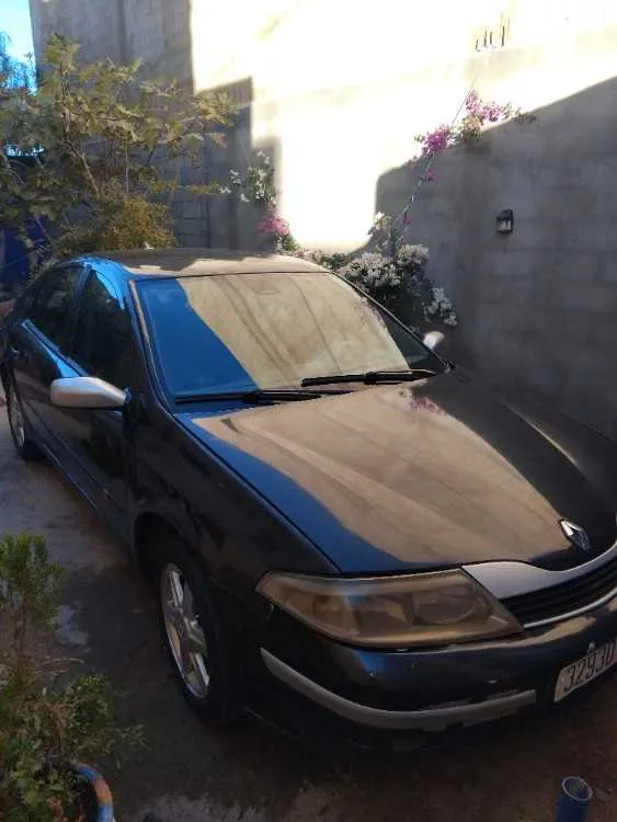 Renault laguna - تنغير (3)