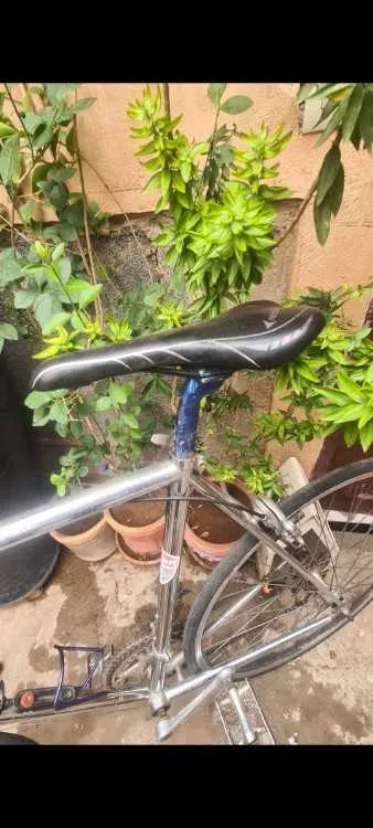Bicyclette course original made in italy mark dog - مراكش (2)
