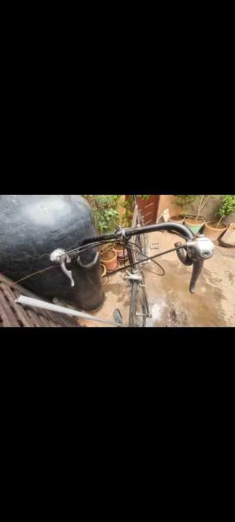 Bicyclette course original made in italy mark dog - مراكش (3)