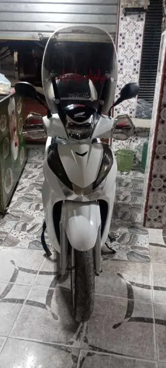 Moto sh300i - مكناس