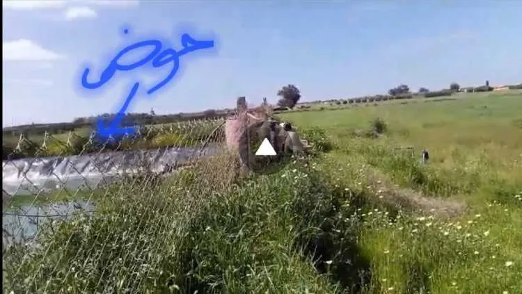 Ferme agricole de 2,5 ha titré et bien équipé à ve - الجديدة (2)