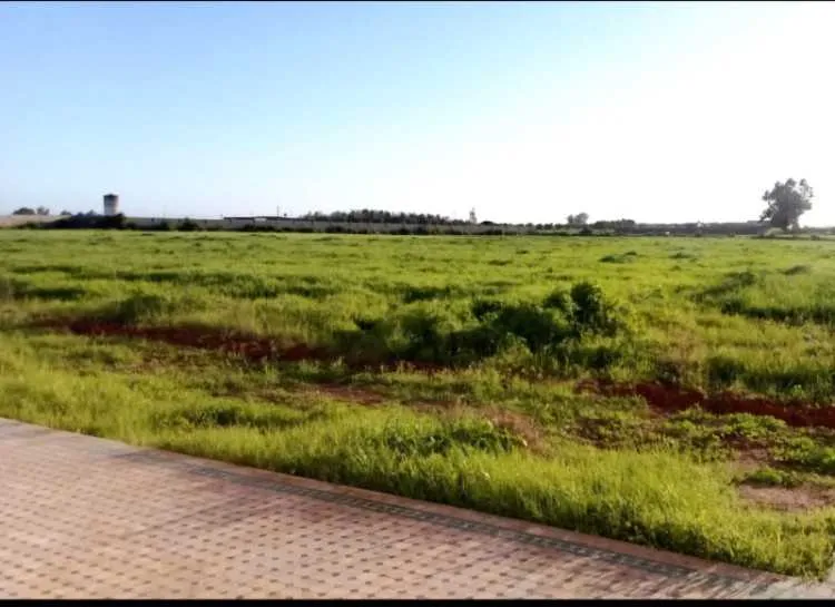 Ferme agricole de 2,5 ha titré et bien équipé à ve - الجديدة