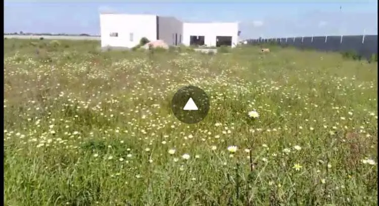 Ferme agricole de 2,5 ha titré et bien équipé à ve - الجديدة (3)