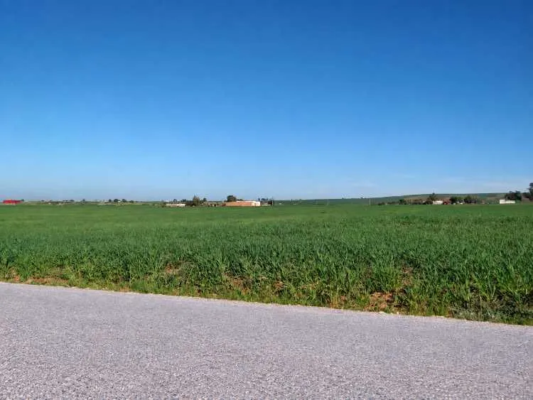 Terrain agricole de 4 hectares à ben ahmed - الدار البيضاء