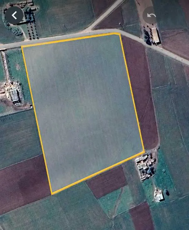Terrain agricole de 4 hectares à ben ahmed - الدار البيضاء (3)