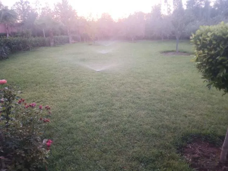 Vila titre - مراكش (3)