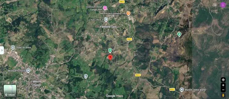 Terrain agricole enregistré, faddane el saidi tang - طنجة