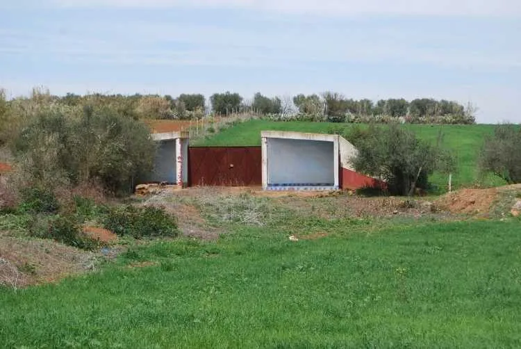 Terrain de 6 ha pour investissement agricole - تمارة (3)