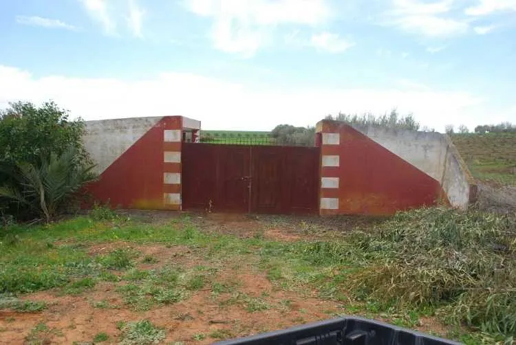 Terrain de 6 ha pour investissement agricole - تمارة (2)