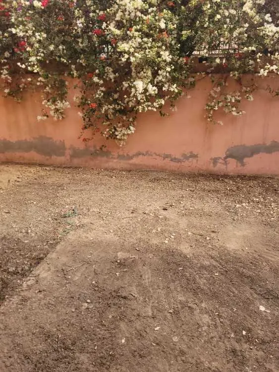 Villa semi-finie a tamensourte (marrakech) - Tamensourte / (3)