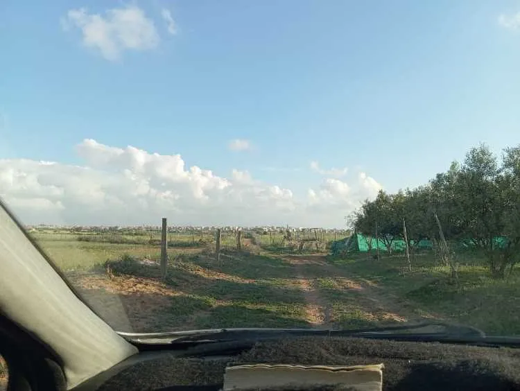 أرض في تيفلت للبيع تطل على المدينة - Tifelt / (3)