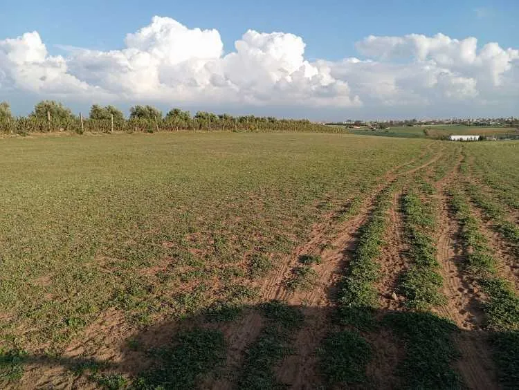 أرض في تيفلت للبيع تطل على المدينة - Tifelt / (2)