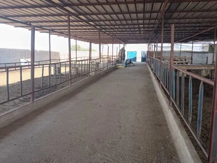 Ferme agricole titrée 2 ha avec villa et élevage b - برشيد