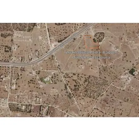 Terrain agricole titré essaouira ounagha 4303 m² - الصويرة (2)
