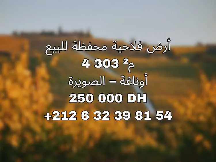 Terrain agricole titré essaouira ounagha 4303 m² - الصويرة