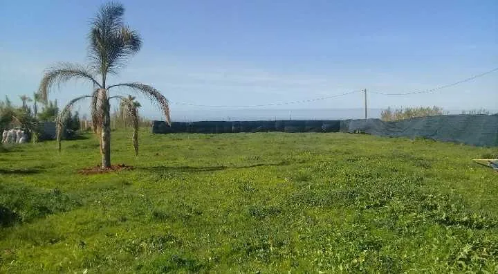 Terrain industrielle 2800 m2  (titrÉ mere ) ( inl) - تمارة