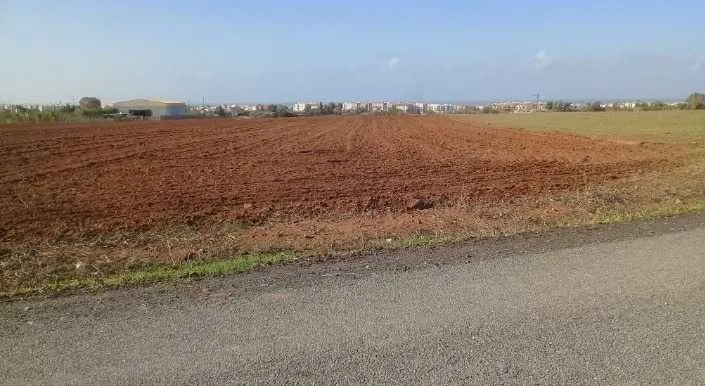 Terrain titré de 5650 m² à vendre à skhirat - تمارة (3)