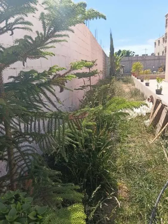 Villa avec un vaste terrain - أكادير (3)