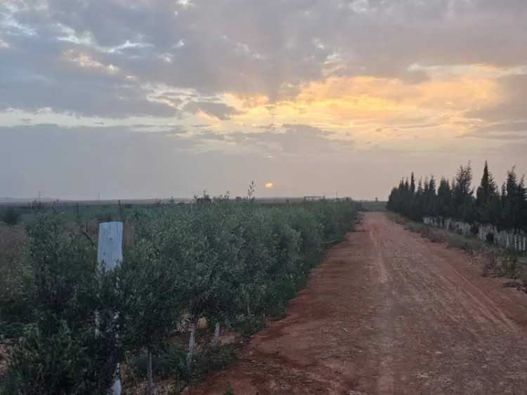 Exceptionnelle opportunité agricole au cœur du sou - أكادير (2)