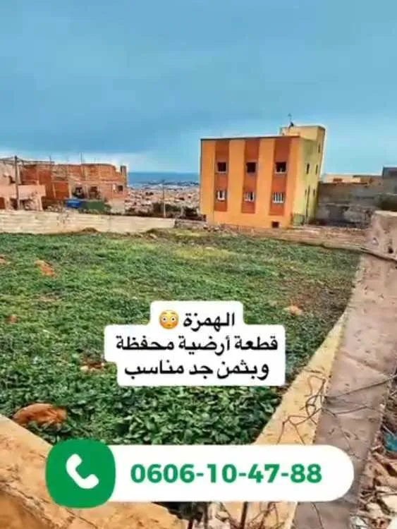 ارض صالحة للبناء الناظور .بني انصار - الناظور (3)