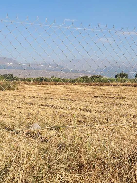Terrain a vendre a proximité de sidi abdullah ghia - مراكش (3)