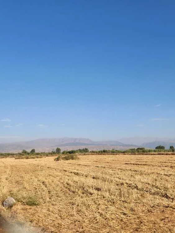 Terrain a vendre a proximité de sidi abdullah ghia - مراكش