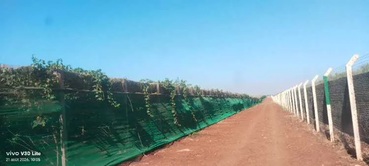 Ferme titré foncier à vendre - Tout le Maroc / (2)