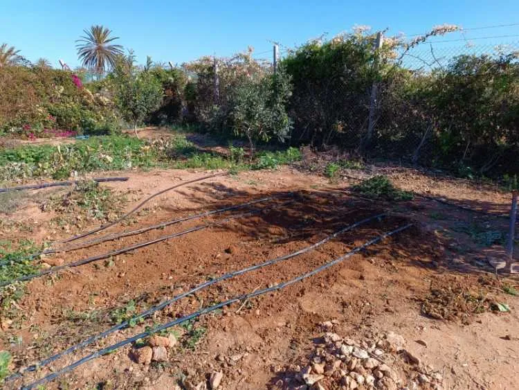Terrain titré de 2600 m²,constructible à tiznit - تزنيت (3)