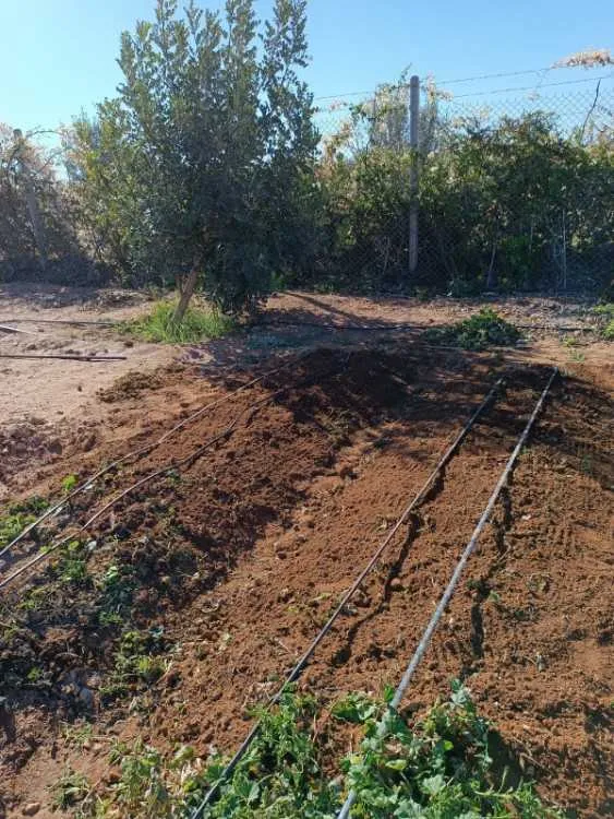 Terrain titré de 2600 m²,constructible à tiznit - تزنيت (2)