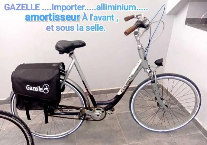 Gazelle importer - أكادير