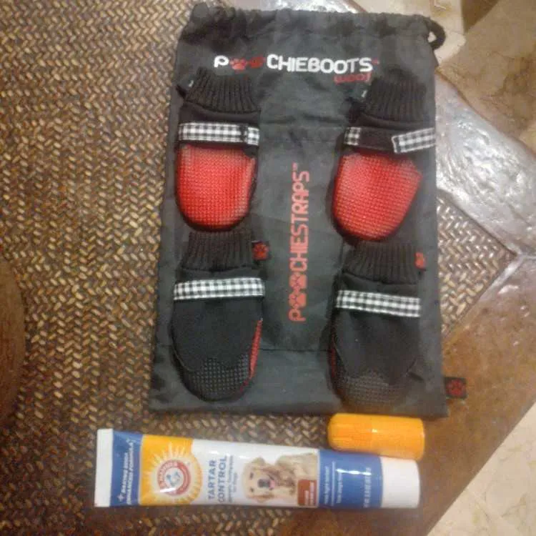 Socquettes basket pour petit chien 🐕 - الرباط (2)