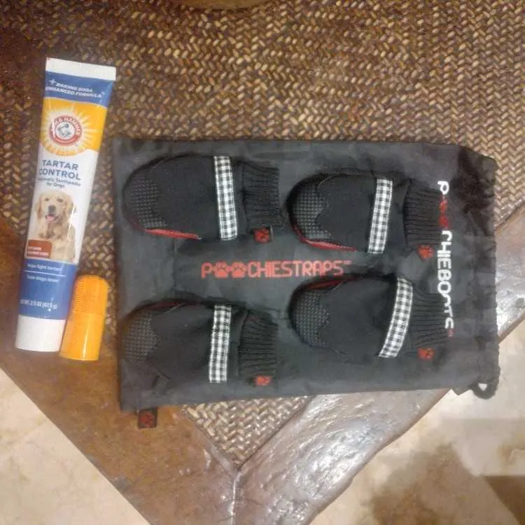 Socquettes basket pour petit chien 🐕 - الرباط