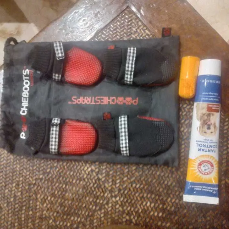 Socquettes basket pour petit chien 🐕 - الرباط (3)