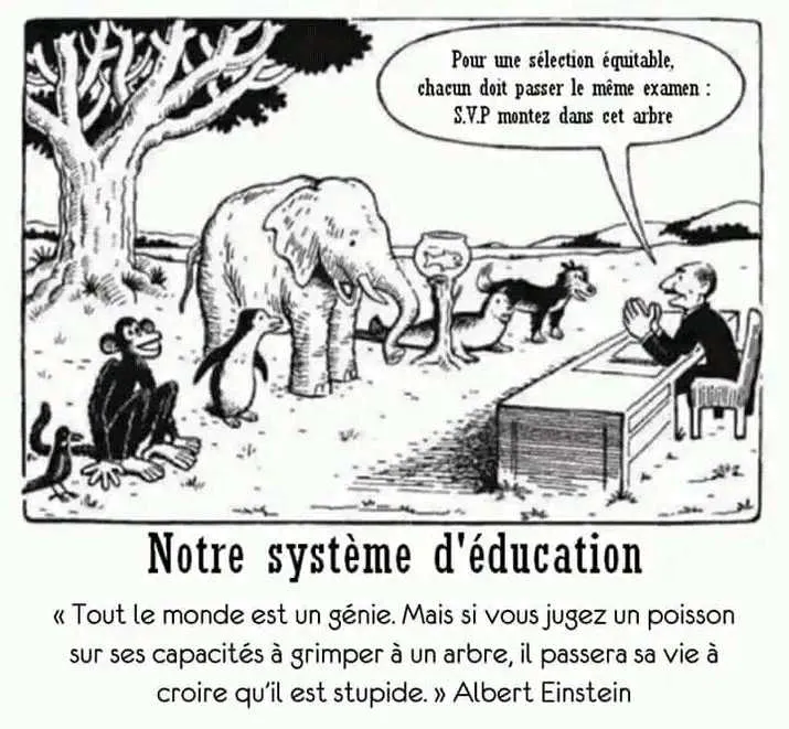 Cours d'arabe - الدار البيضاء