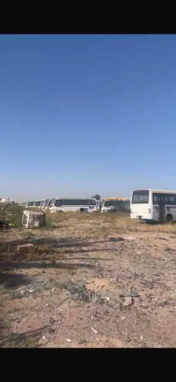 Tf 19085/8054 - برشيد (2)