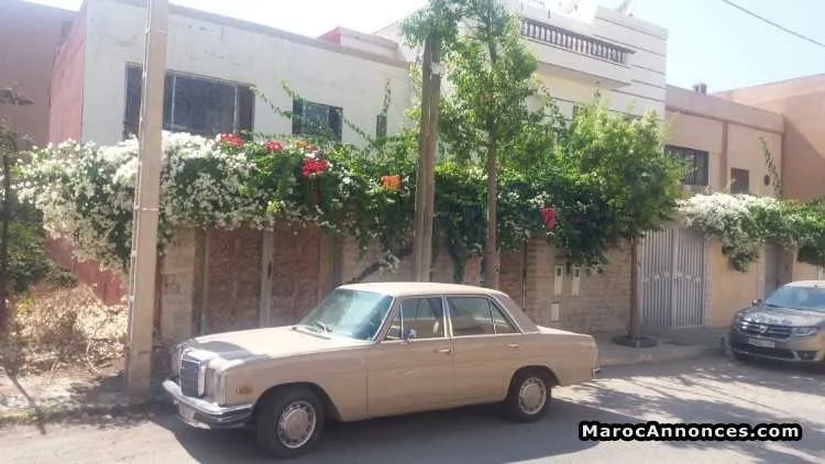 Mercedes corta 200 diesel année 1975 - الدار البيضاء (2)