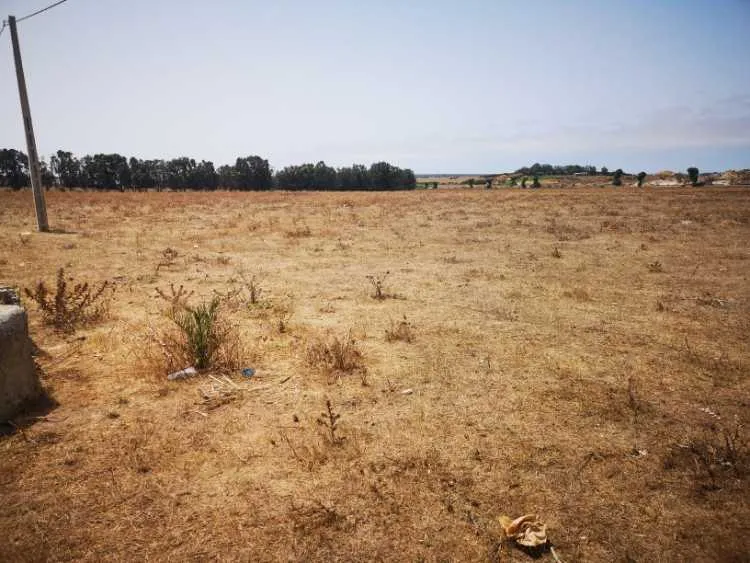 Terrain agricole sidi smail region el jadida - سيدي بنور