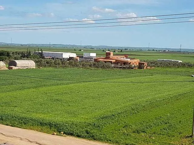 Ferme - برشيد (2)